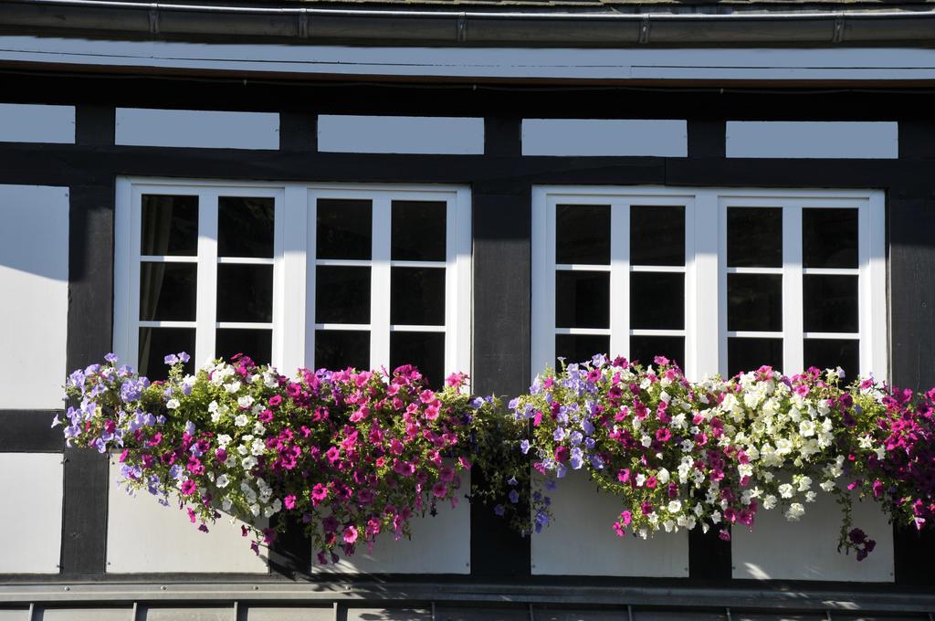 Landidyll Hotel Haus Hochstein Eslohe Esterno foto